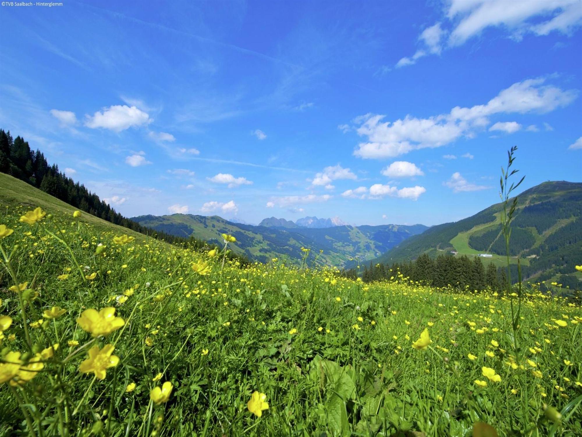 Modern Chalet With Sauna Near Ski Area In Saalbach Hinterglemm Salzburgerland 外观 照片